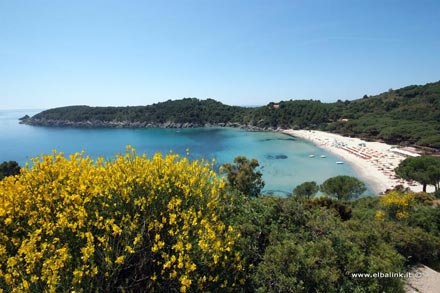 Island of Elba