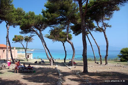 Île de Pianosa