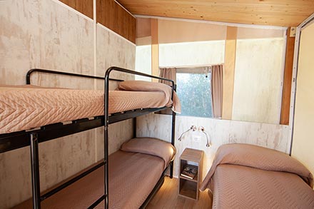 Safari Trend Lodge